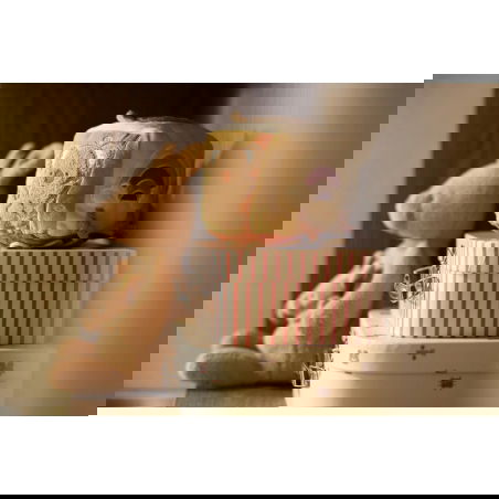 Valisettes à jouets | Pretty Picnic - Jollein