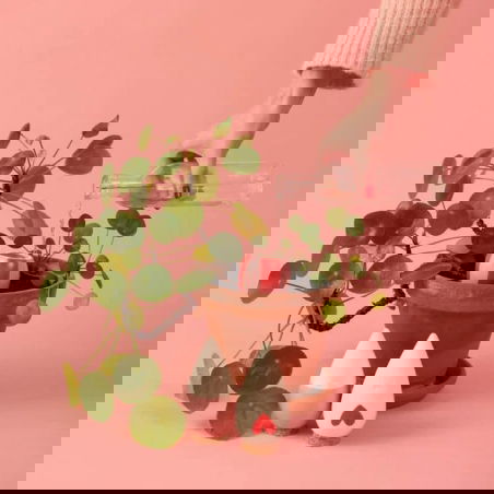 Trio mini ollas | Les lovers - Pepin