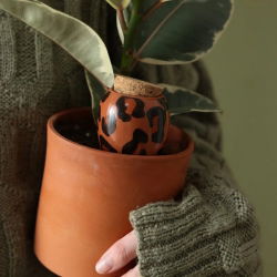 Olla | Léopard macchiato