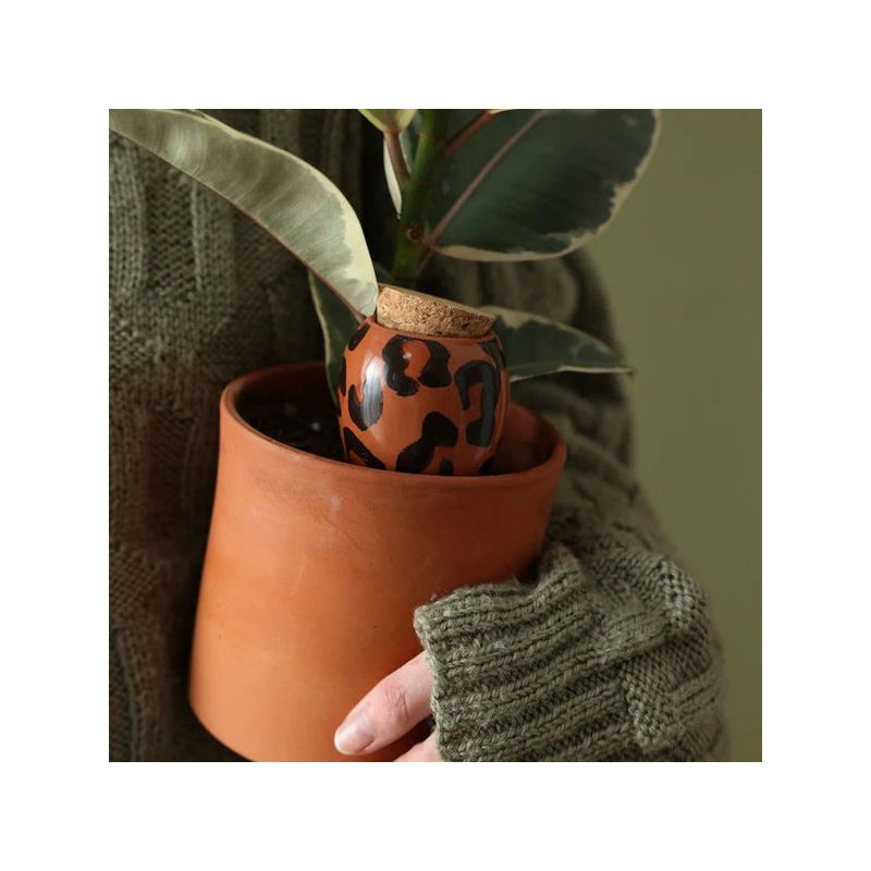 Olla | Léopard macchiato