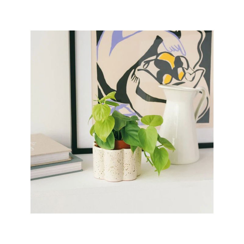 Pot autonome Paulita| Blanc grainé