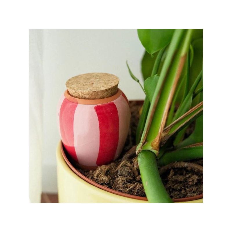 Olla | Rayé rose et rouge