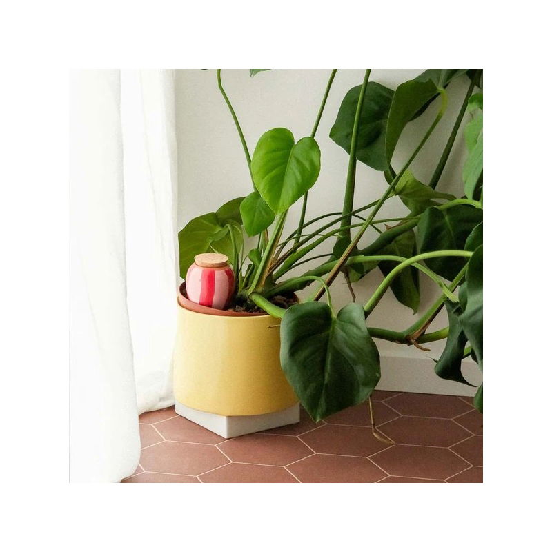 Olla | Rayé rose et rouge