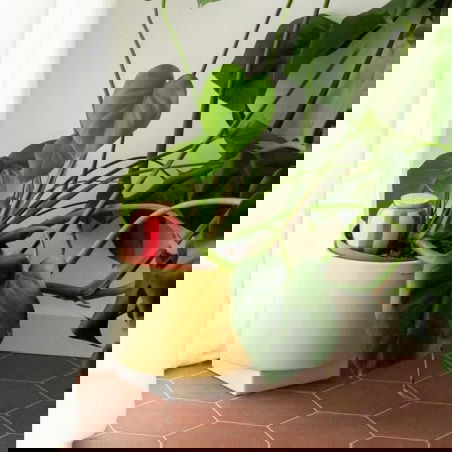 Olla | Rayé rose et rouge - Pepin