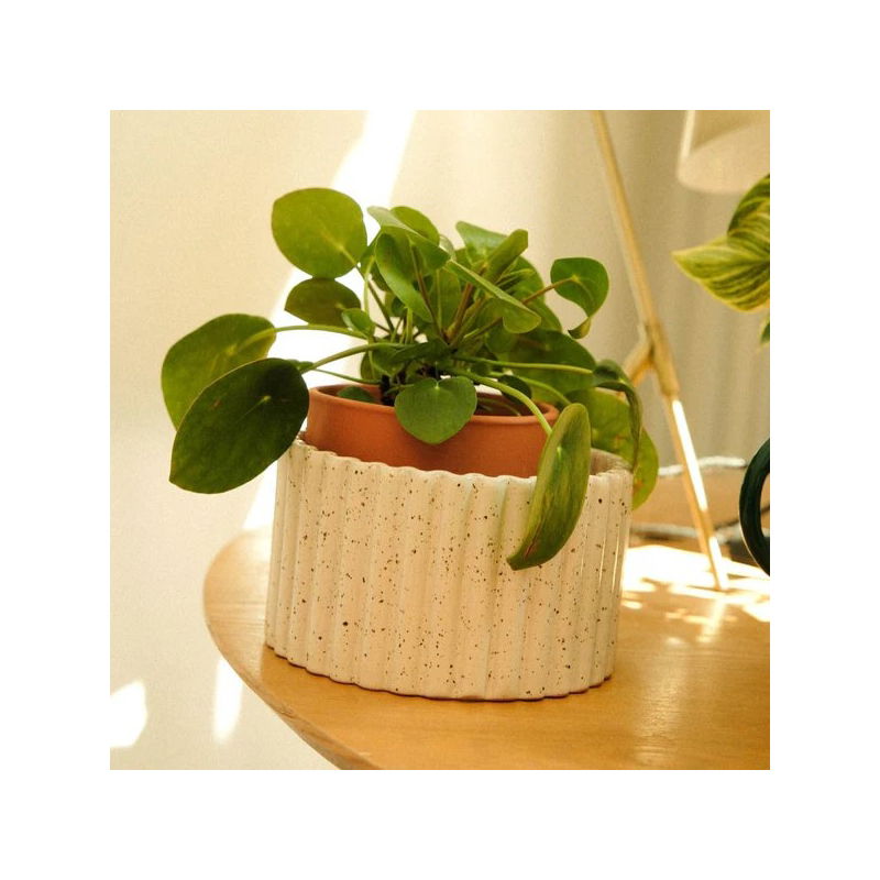 Pot autonome Paula| Blanc grainé