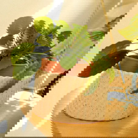 Pot autonome Paula| Blanc grainé - Pepin