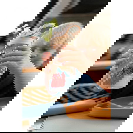 Gourde 480 ml | Meowtiful Cats - The cotton cloud