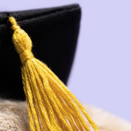 Lapin Bashful 31 cm | Graduation Outfit - Jellycat