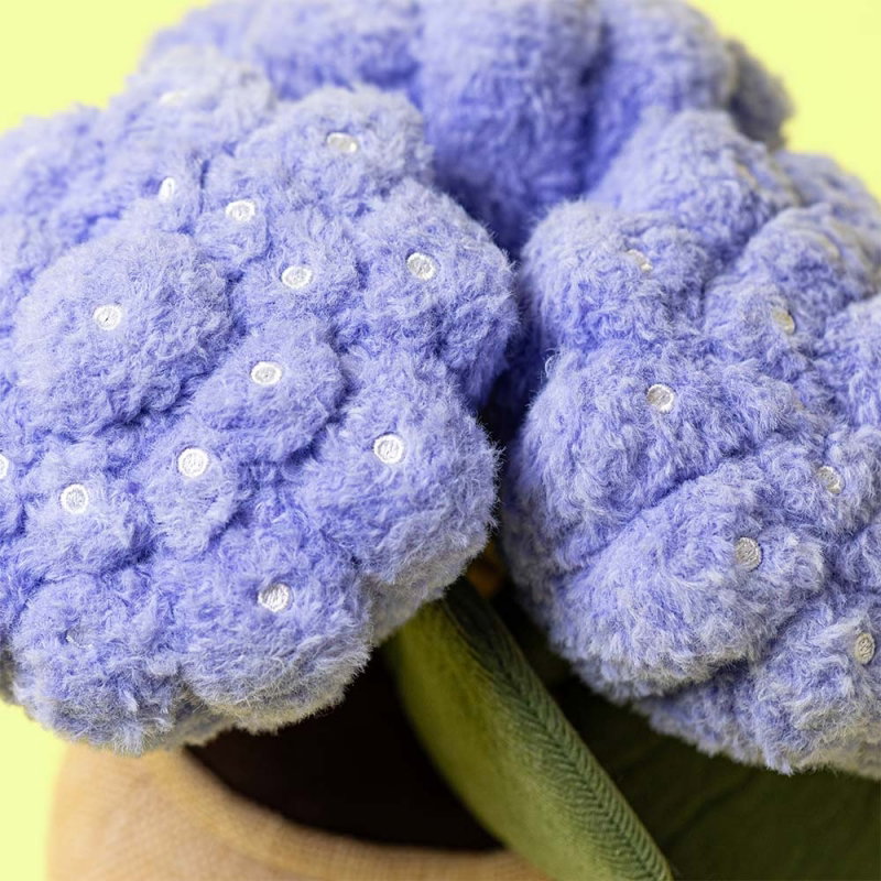 Amuseable Plante | Hortensia