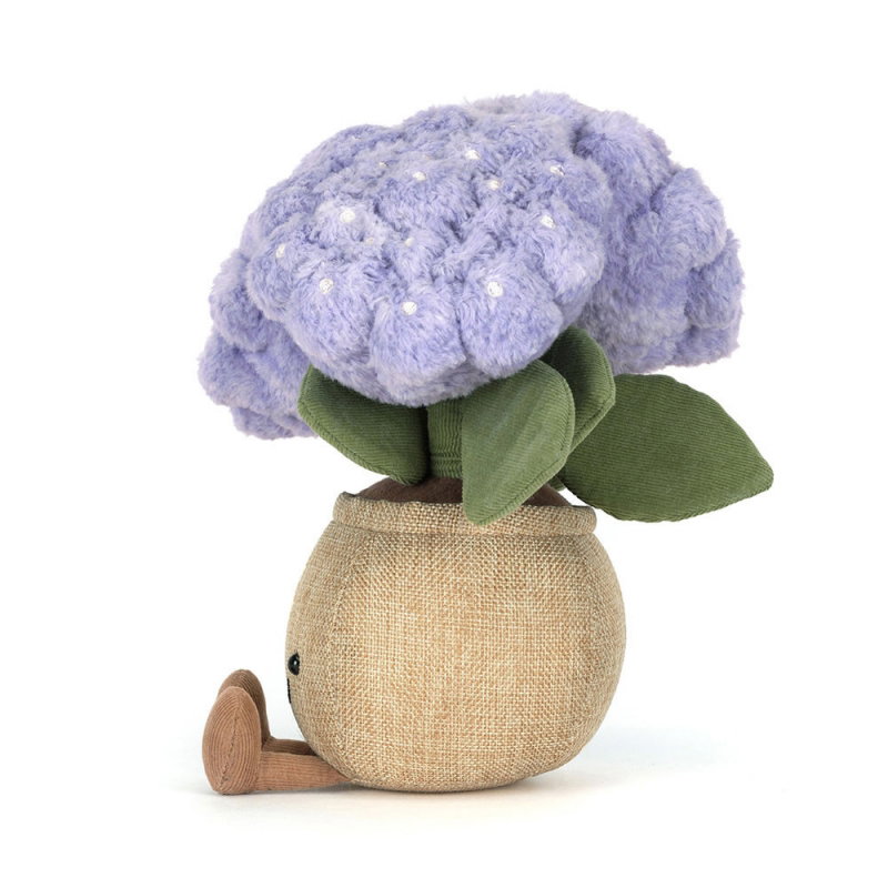 Amuseable Plante | Hortensia