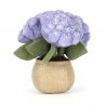 Amuseable Plante | Hortensia
