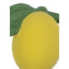 Anneau de dentition | Citron