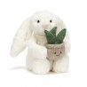 Lapin Crème avec Plante