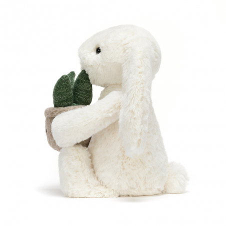 Lapin Crème avec Plante
