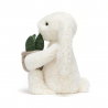 Lapin Crème avec Plante