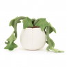 Amuseables | Ivy
