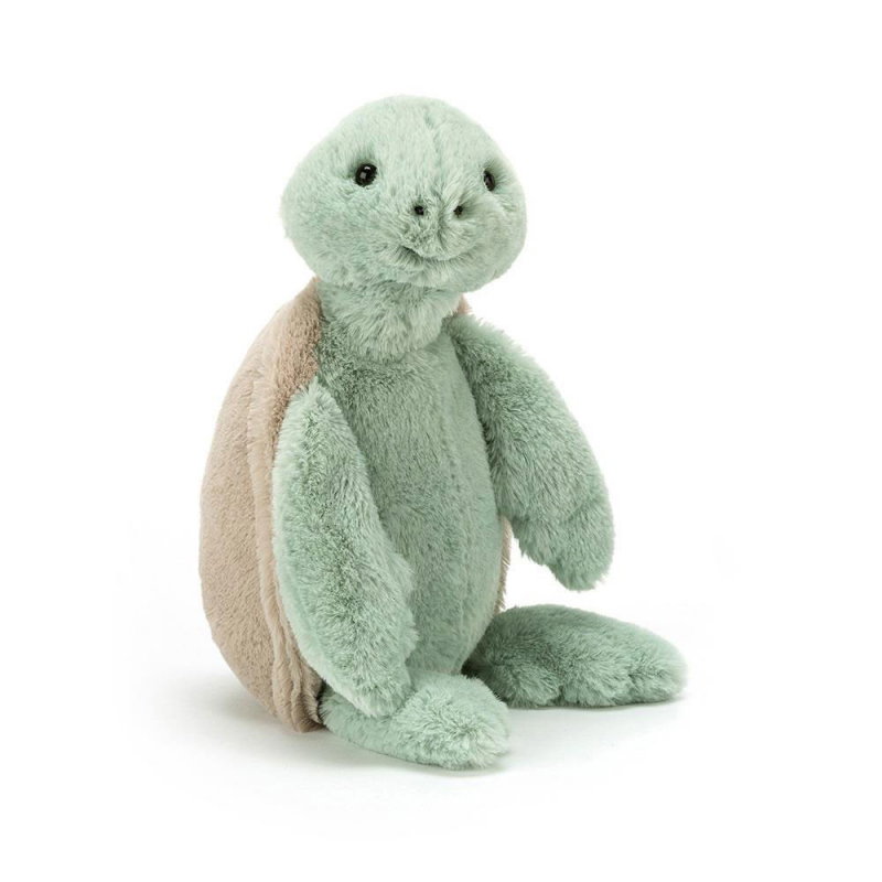 Bashful Tortue | Medium