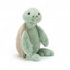 Bashful Tortue | Medium