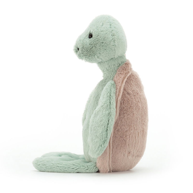 Bashful Tortue | Medium