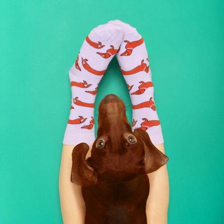 Chaussettes teckel - Coucou Suzette