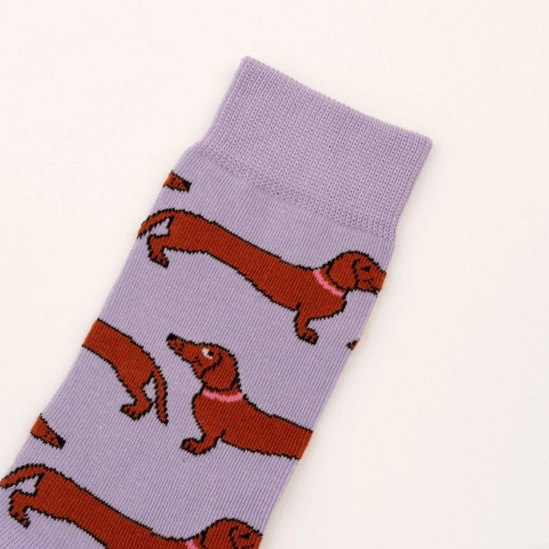 Chaussettes teckel