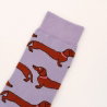 Chaussettes teckel