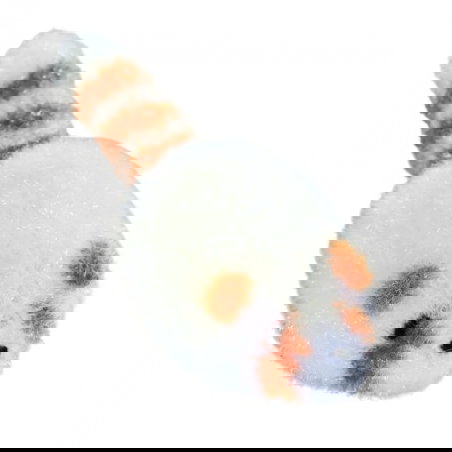 Eponge vaisselle | Raton laveur beige - JoliPoom