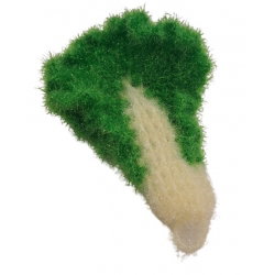 Eponge vaisselle | Chou Kale