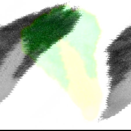 Eponge vaisselle | Chou Kale - JoliPoom