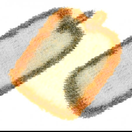 Eponge vaisselle | Toast - JoliPoom