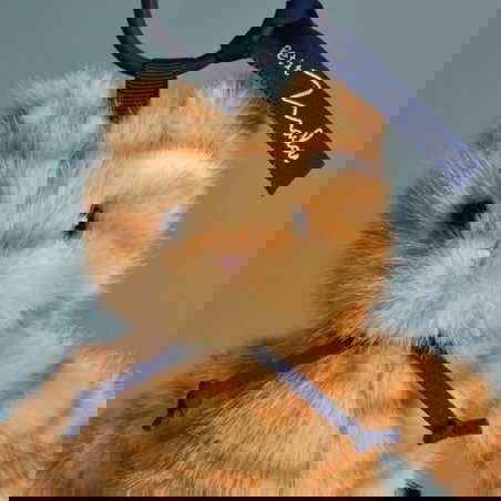 Porte-clés Chat Méloé | Rooxy - Mailou