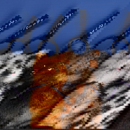 Porte-clés Chat Méloé | Rooxy - Mailou