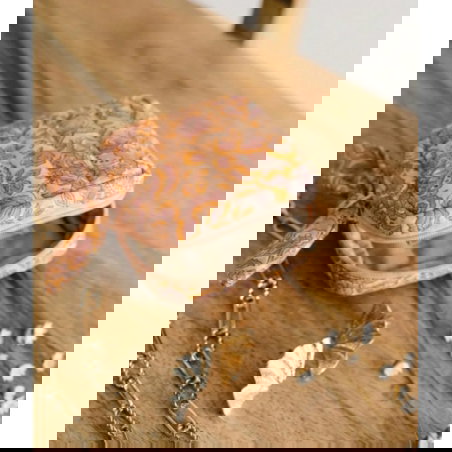 Etui à bijoux | Garda Pop Pink - Bindi Atelier