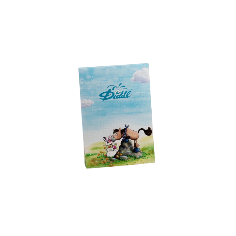 Bloc parfumé A5 Diddl | Bleu