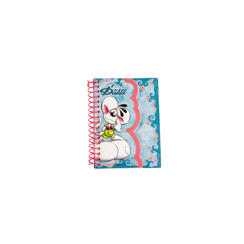 Carnet A6 | Diddl Bleu