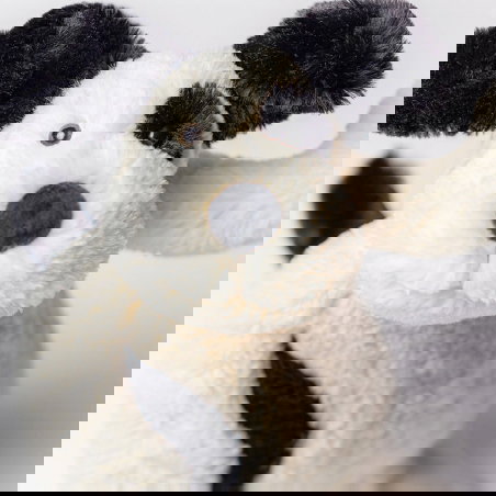 Bashful Chien Noir et Blanc