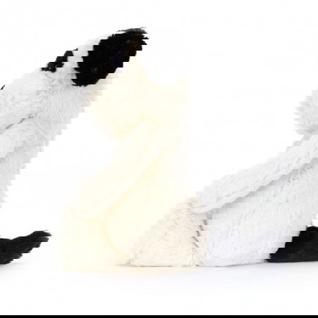 Bashful Chien Noir et Blanc