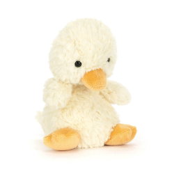 Canard | Yummy Duckling