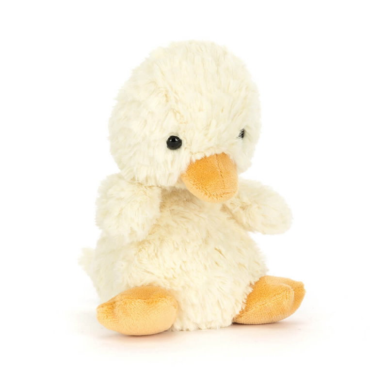 Canard | Yummy Duckling
