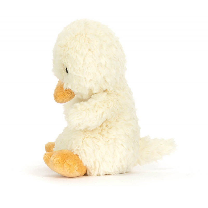 Canard | Yummy Duckling