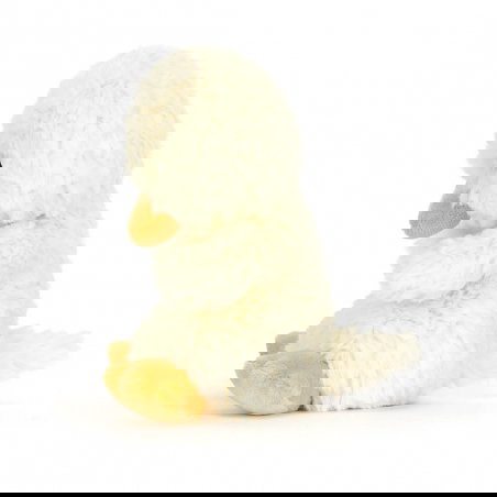 Canard | Yummy Duckling