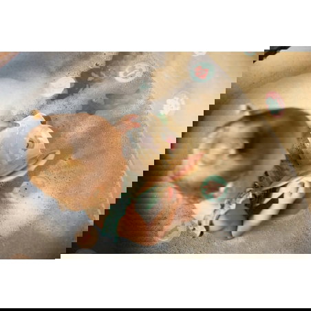 Livre de bain magique | Kangaroots - Liewood