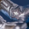 Amuseable | Cacahuète Space Rodeo