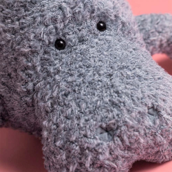 Lamantin | Manatee