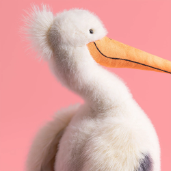Pelican Keli