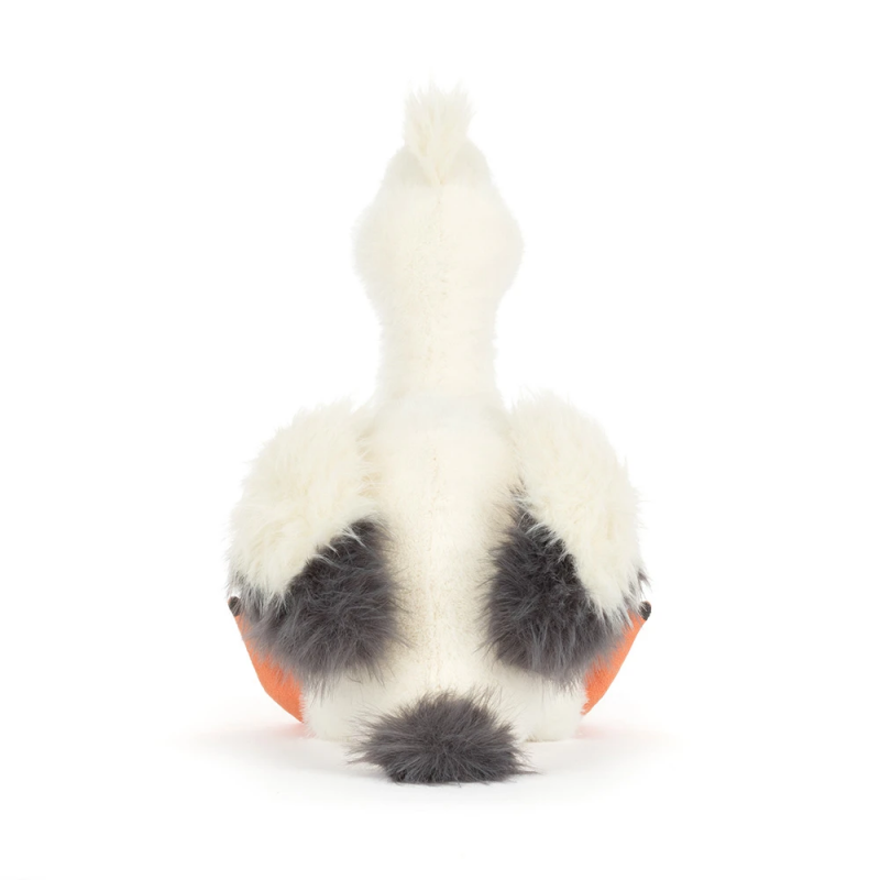 Pelican Keli