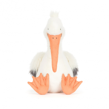 Pelican Keli