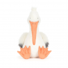 Pelican Keli
