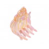 Mini pince à cheveux | Coquillage