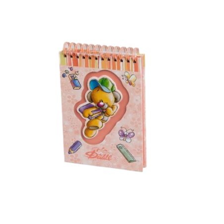 Carnet sprial A6 Diddl | Orange